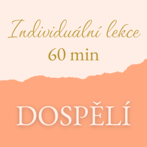 Individuální lekce dospělí