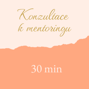 Konzultace během mentoringu