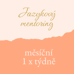 Jazykový mentoring 1x týdně