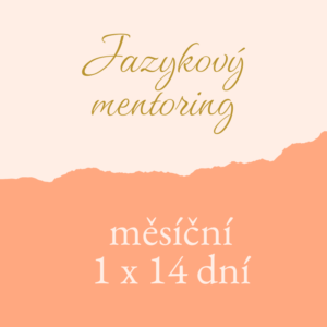 Jazykový mentoring 1x 14 dní
